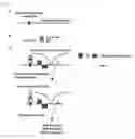 Fig. 02 - Method for isolating specific genomic regions with use of molecule capable of specifically binding to endogenous DNA sequence