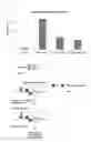 Fig. 06 - Method for isolating specific genomic regions with use of molecule capable of specifically binding to endogenous DNA sequence