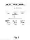 Fig. 06 - Determination of variants produced upon replication or transcription of nucleic acid sequences