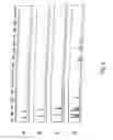 Fig. 06 - METHODS FOR ANALYSIS OF GENE EXPRESSION