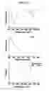 Fig. 04 - Kit for detecting nucleic acid and method for detecting nucleic acid