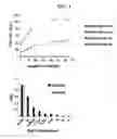 Fig. 07 - Kit for detecting nucleic acid and method for detecting nucleic acid