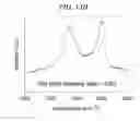 Fig. 33 - Kit for detecting nucleic acid and method for detecting nucleic acid