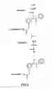 Fig. 06 - Method of determining the nucleotide sequence of oligonucleotides and DNA molecules
