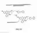 Fig. 11 - Method of determining the nucleotide sequence of oligonucleotides and DNA molecules