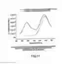 Fig. 12 - Method of determining the nucleotide sequence of oligonucleotides and DNA molecules