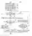 Fig. 07 - Method and device for identifying nucleotide, and method and device for determining nucleotide sequence of polynucleotide