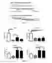 Fig. 02 - Circulating Non-coding RNA Profiles for Detection of Cardiac Transplant Rejection