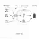 Fig. 02 - METHODS AND COMPOSITIONS FOR THE DIAGNOSIS, PROGNOSIS AND TREATMENT OF BRAIN METASTASIS