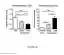 Fig. 07 - METHODS AND COMPOSITIONS FOR THE DIAGNOSIS, PROGNOSIS AND TREATMENT OF BRAIN METASTASIS