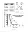 Fig. 12 - METHODS AND COMPOSITIONS FOR THE DIAGNOSIS, PROGNOSIS AND TREATMENT OF BRAIN METASTASIS