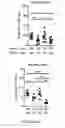 Fig. 18 - METHODS AND COMPOSITIONS FOR THE DIAGNOSIS, PROGNOSIS AND TREATMENT OF BRAIN METASTASIS