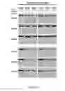 Fig. 22 - METHODS AND COMPOSITIONS FOR THE DIAGNOSIS, PROGNOSIS AND TREATMENT OF BRAIN METASTASIS