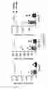 Fig. 28 - METHODS AND COMPOSITIONS FOR THE DIAGNOSIS, PROGNOSIS AND TREATMENT OF BRAIN METASTASIS