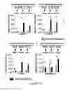 Fig. 49 - METHODS AND COMPOSITIONS FOR THE DIAGNOSIS, PROGNOSIS AND TREATMENT OF BRAIN METASTASIS