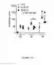 Fig. 78 - METHODS AND COMPOSITIONS FOR THE DIAGNOSIS, PROGNOSIS AND TREATMENT OF BRAIN METASTASIS