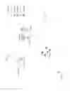 Fig. 12 - METHODS AND CHARACTERISTICS FOR THE DIAGNOSIS OF ACUTE LYMPHOBLASTIC LEUKEMIA