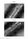Fig. 05 - SOFT MAGNETIC ALLOY AND SHIELDING SHEET FOR ANTENNA COMPRISING THE SAME