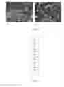 Fig. 04 - METHOD OF MANUFACTURING A METAL MATRIX COMPOSITE COMPONENT BY USE OF A REINFORCEMENT PREFORM