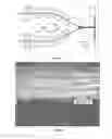 Fig. 02 - COATINGS, COATED SURFACES, AND METHODS FOR PRODUCTION THEREOF