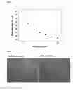 Fig. 05 - METHOD FOR MANUFACTURING CORROSION RESISTANT AND CONDUCTIVE NANO CARBON COATING LAYER AND FUEL CELL BIPOLAR PLATE THEREBY USING STAINLESS STEEL SUBSTRATE