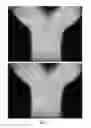 Fig. 02 - MELT SURFACE FLOW FIELD MEASUREMENT METHOD FOR ARTIFICIAL CRYSTAL GROWTH SYSTEMS AND CRYSTAL GROWTH APPARATUS UTILIZING THE METHOD