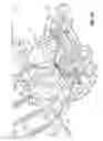 Fig. 06 - Snow plow and mount assembly