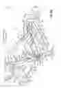 Fig. 15 - Snow plow and mount assembly