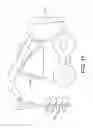 Fig. 16 - System for Improving Safety in Use of a Machine of a Kind Comprising a Body and an Implement Movable Relative to the Body