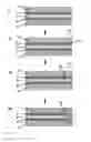 Fig. 06 - Multilayer film with electrically switchable optical properties