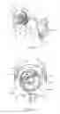 Fig. 16 - Window shade and actuating system thereof