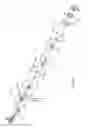 Fig. 19 - Window shade and actuating system thereof