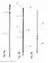 Fig. 06 - System For Pumping Liquid Media From A Bore And Method For Installing A Pump Unit Designed As A Progressive Cavity Pump In A Bore