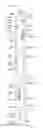 Fig. 01 - Apparatus and method for cultivating a downhole surface