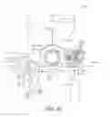 Fig. 31 - Systems, methods, and devices for valve stem position sensing