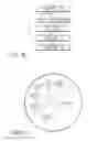 Fig. 41 - Systems, methods, and devices for valve stem position sensing