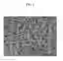Fig. 03 - CYLINDER HEAD FOR ENGINE