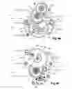 Fig. 06 - VALVE, IN PARTICULAR AN ENGINE CONTROL VALVE, EQUIPPED WITH A METERING GATE AND A DIVERTER GATE