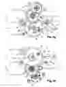 Fig. 07 - VALVE, IN PARTICULAR AN ENGINE CONTROL VALVE, EQUIPPED WITH A METERING GATE AND A DIVERTER GATE