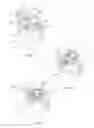Fig. 03 - Epicyclical fluid pump assembly
