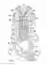 Fig. 02 - FUEL PUMP