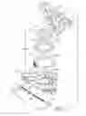 Fig. 03 - Variable flow engine oil pump