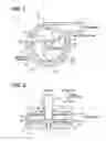 Fig. 02 - Centrifugal pump