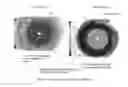 Fig. 09 - Debris removing impeller back vane