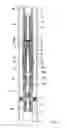 Fig. 02 - Reverse flow jet pump