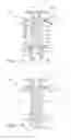 Fig. 05 - Push-in fastener