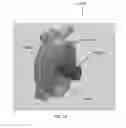 Fig. 19 - Actuation systems and methods