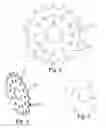 Fig. 03 - Laminated sprocket assembly