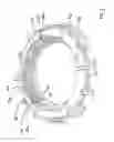 Fig. 05 - Spring assembly for isolator