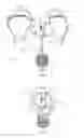 Fig. 02 - LED LAMP